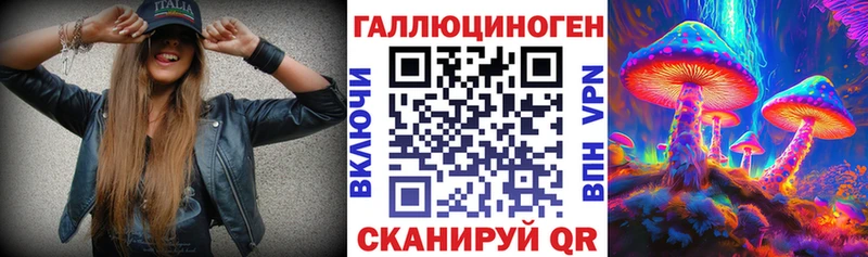 Псилоцибиновые грибы Psilocybine cubensis Шадринск