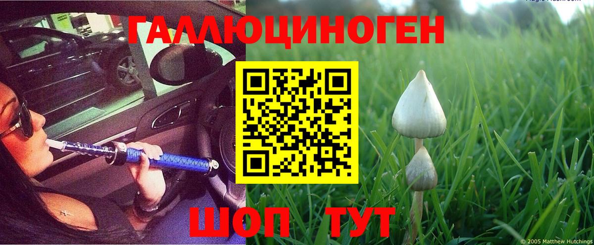 Галлюциногенные грибы Cubensis  Псилоцибиновые грибы Magic Shrooms  Шадринск  Вход с VPN 